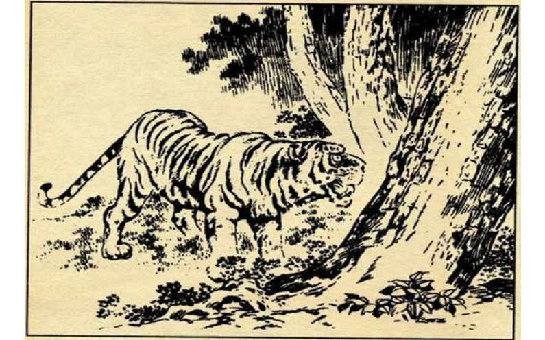西天取经它不去却当土匪虎作皮是什么生肖、警惕虚假宣传-全面释义、前沿解答解释落实